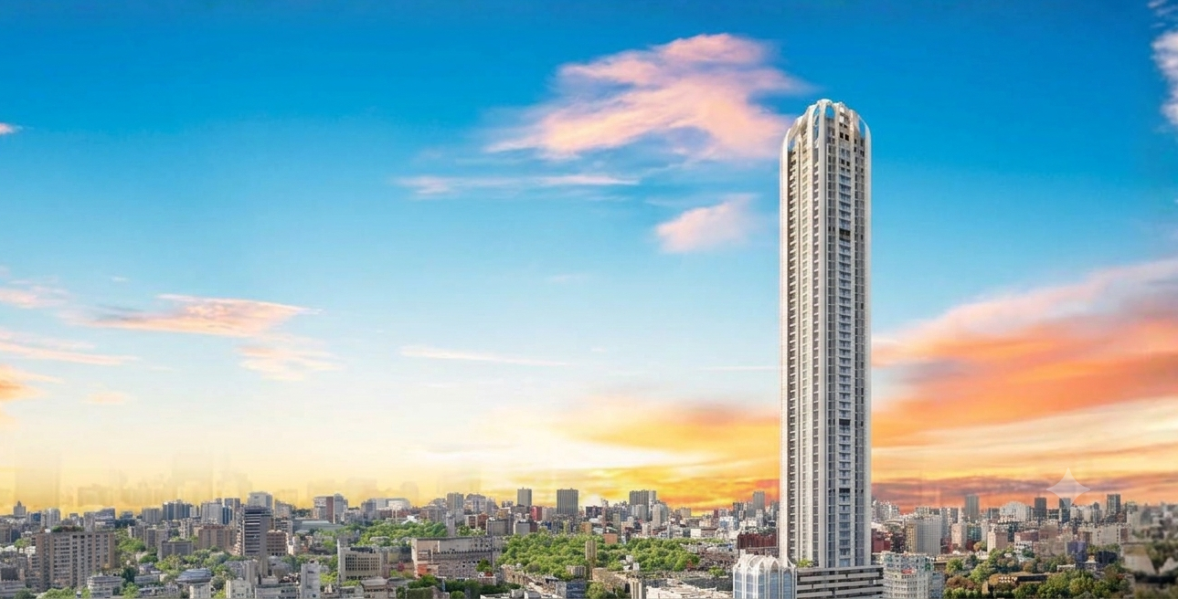 205 Skyrise project view